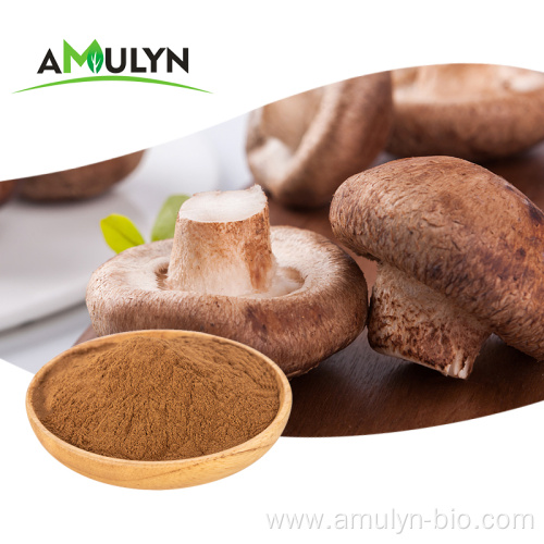 Organic Edible Fungus Extract Shiitake Mushroom Extract